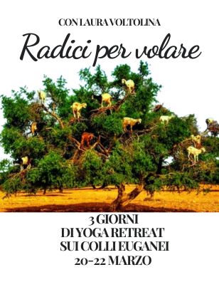 yoga_retreat_colli_euganei_ 2026 .jpg